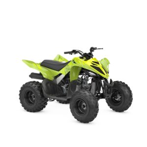 RAPTOR 110 <br> YFM110R